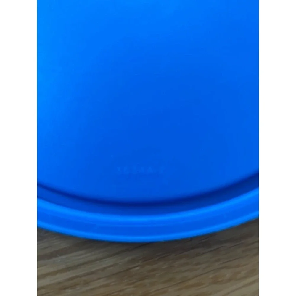 Tupperware mickey mouse